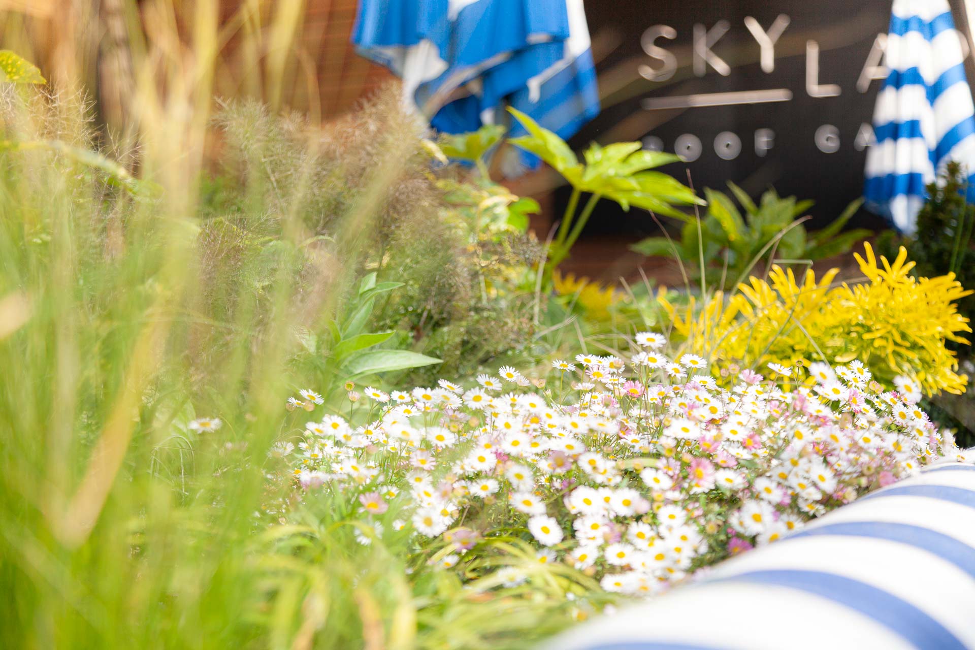 Skylark-Roof-Garden-7900 Skylark Roof Garden, Rooftop Cocktail Bar and Restaurant in Paddington West London W2