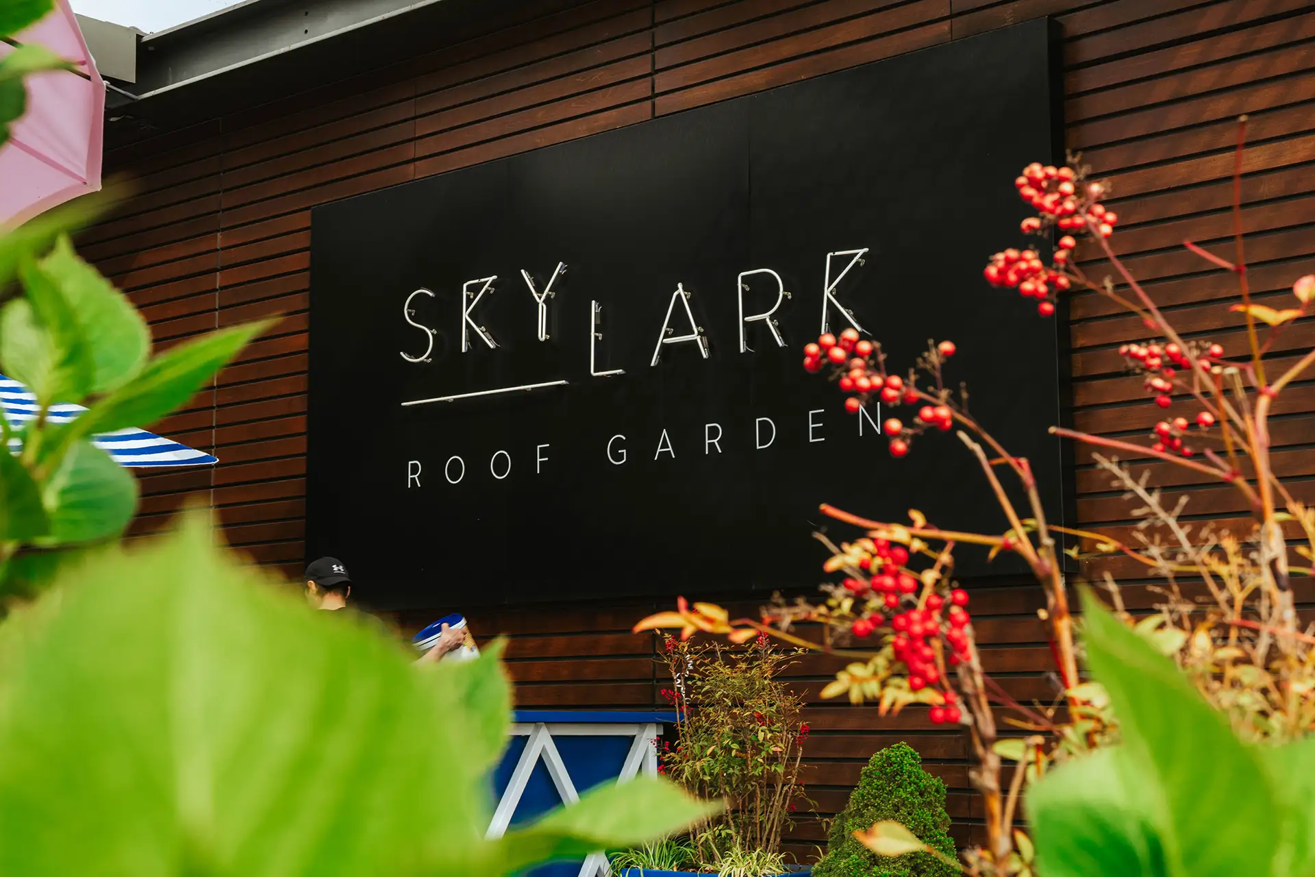 skylark-rooftop-bar-london-img_1498 Skylark Rooftop Bar in West London Champagne Cocktails Terrace Outdoor Paddington Roof Top Restaurant in LDN
